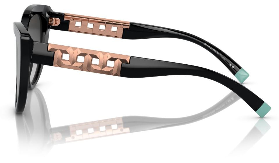 Tiffany & Co TF4196 太阳镜