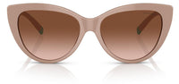 Tiffany & Co TF4196 太阳镜