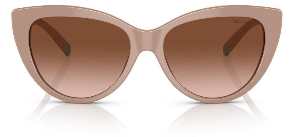Tiffany & Co TF4196 太阳镜