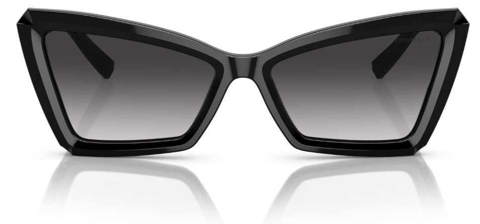 Tiffany & Co TF4203 Sunglasses