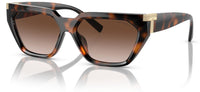 Tiffany & Co TF4205U Sunglasses