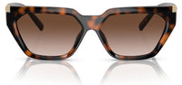 Tiffany & Co TF4205U Sunglasses