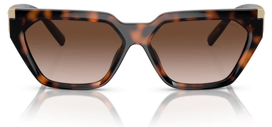 Tiffany & Co TF4205U Sunglasses
