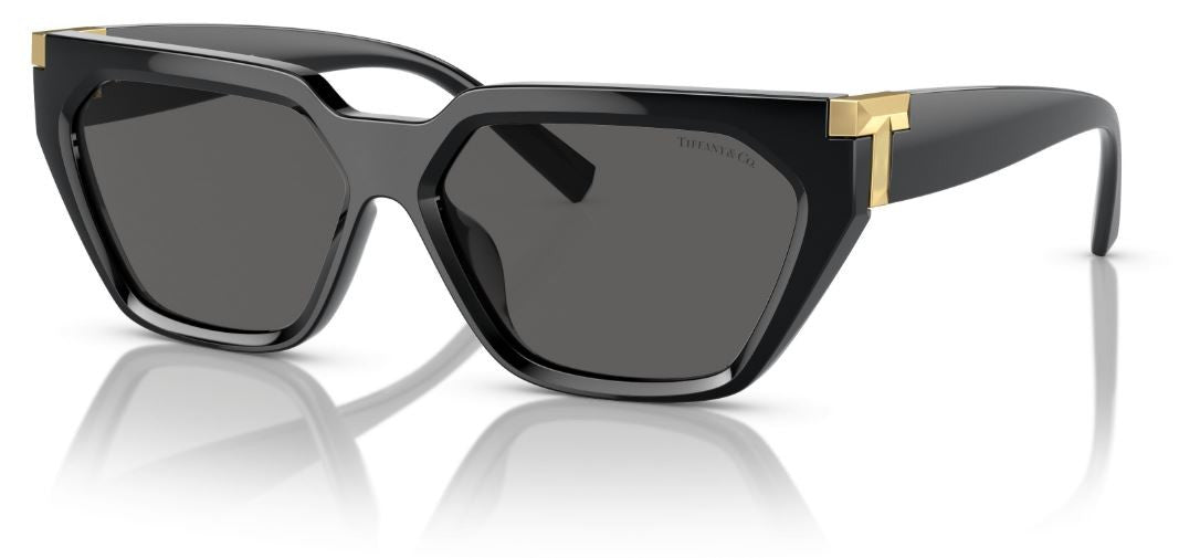 Tiffany & Co TF4205U Sunglasses