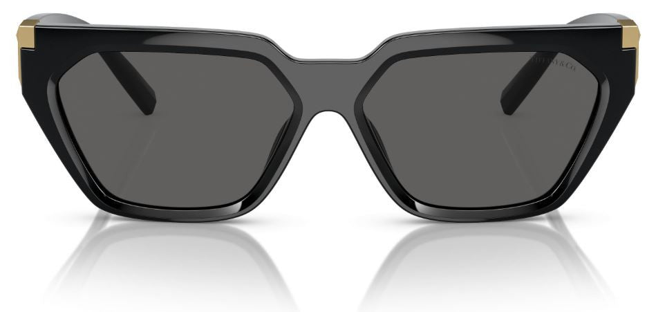 Tiffany & Co TF4205U Sunglasses