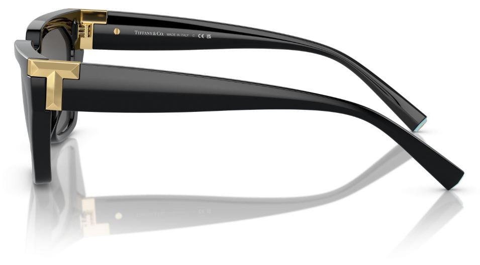 Tiffany & Co TF4205U Sunglasses