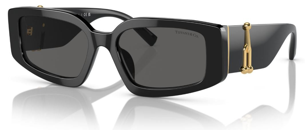 Tiffany & Co TF4208U Sunglasses
