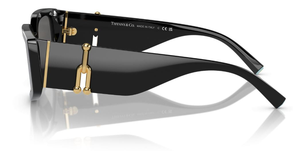 Tiffany & Co TF4208U Sunglasses
