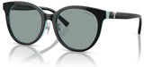 Tiffany & Co TF4209D Sunglasses