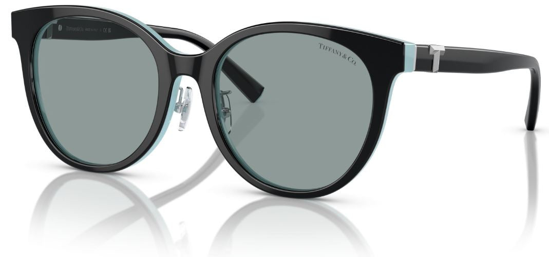 Tiffany & Co TF4209D Sunglasses