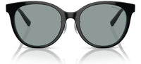 Tiffany & Co TF4209D Sunglasses