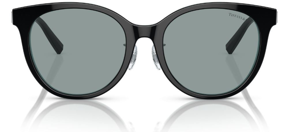 Tiffany & Co TF4209D Sunglasses