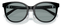 Tiffany & Co TF4209D Sunglasses