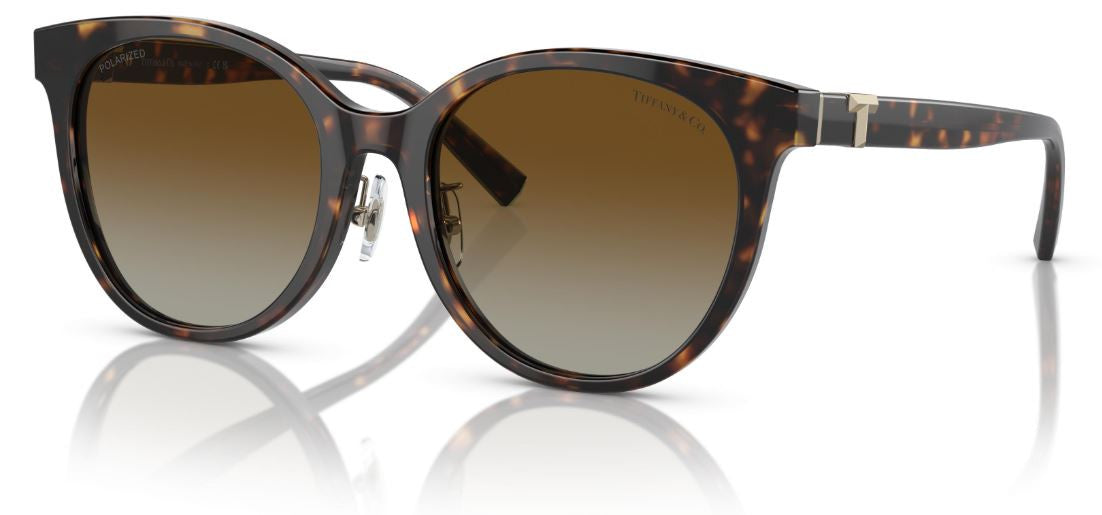Tiffany & Co TF4209D Sunglasses