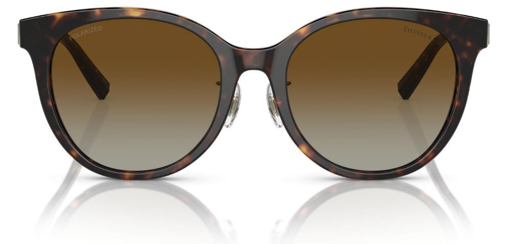 Tiffany & Co TF4209D Sunglasses