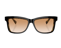 Brunello Cucinelli BC4009S Sunglasses