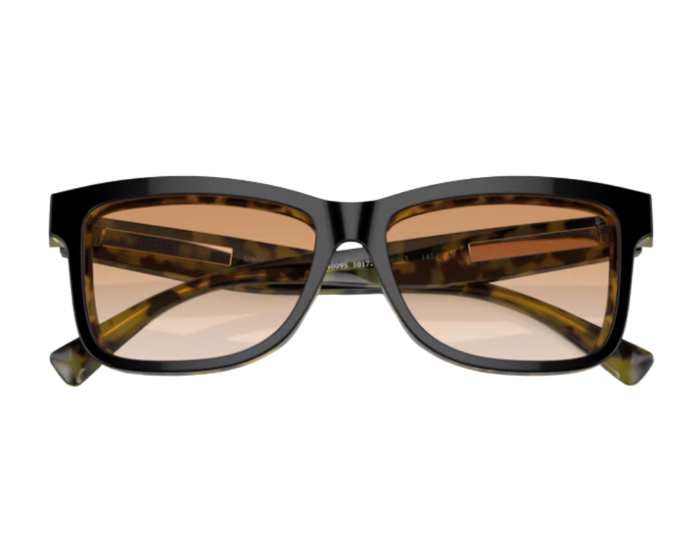 Brunello Cucinelli BC4009S Sunglasses