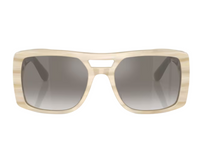 Brunello Cucinelli BC4012S sunglasses