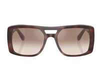Brunello Cucinelli BC4012S sunglasses