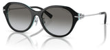 Tiffany & Co TF4210D Sunglasses