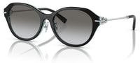 Tiffany & Co TF4210D Sunglasses