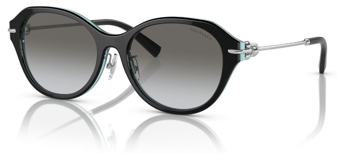 Tiffany & Co TF4210D Sunglasses