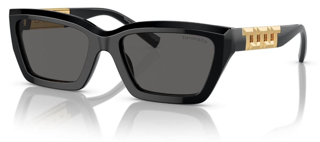 Tiffany & Co TF4213 Sunglasses