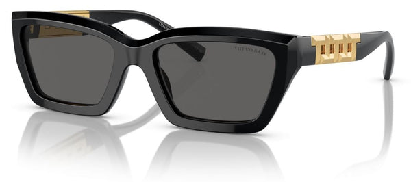 Tiffany & Co TF4213 Sunglasses