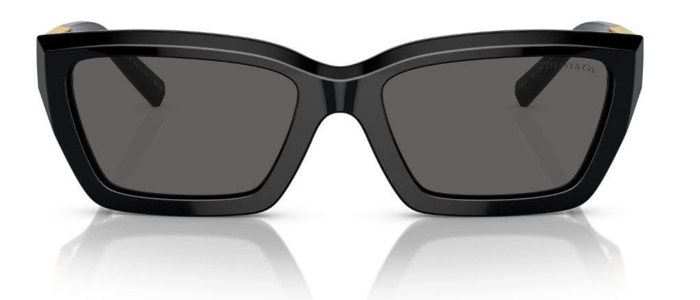 Tiffany & Co TF4213 Sunglasses