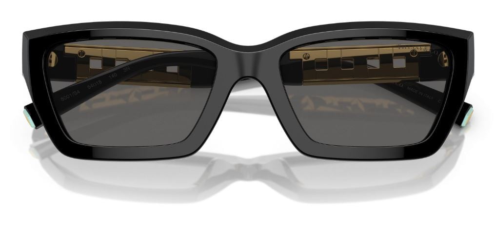 Tiffany & Co TF4213 Sunglasses