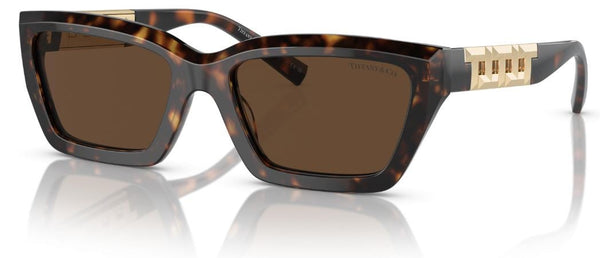 Tiffany & Co TF4213 Sunglasses