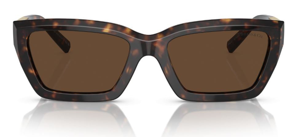 Tiffany & Co TF4213 Sunglasses