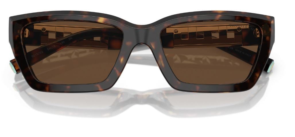 Tiffany & Co TF4213 Sunglasses
