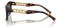 Tiffany & Co TF4213 Sunglasses