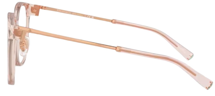 Brillen Tiffany & Co TF2240D