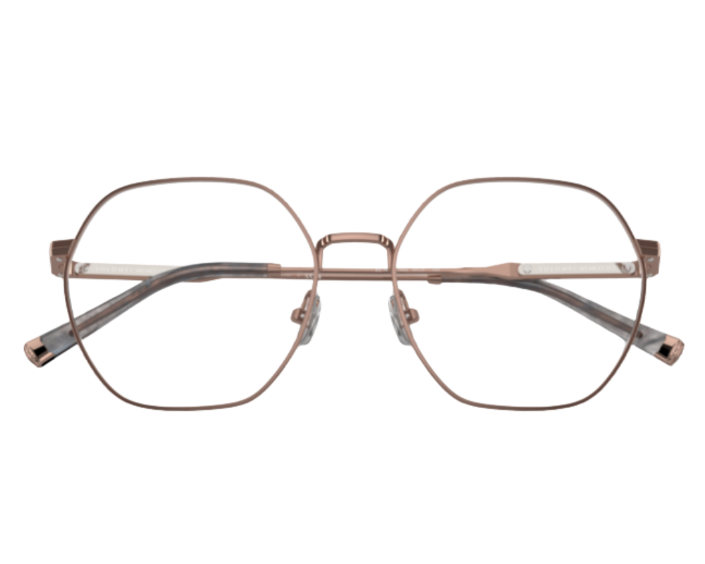 Brunello Cucinelli BC1001T Eyeglasses