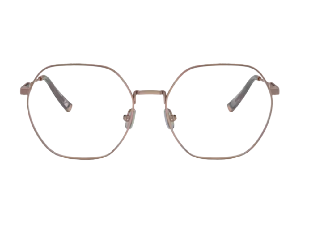 Brunello Cucinelli BC1001T Eyeglasses