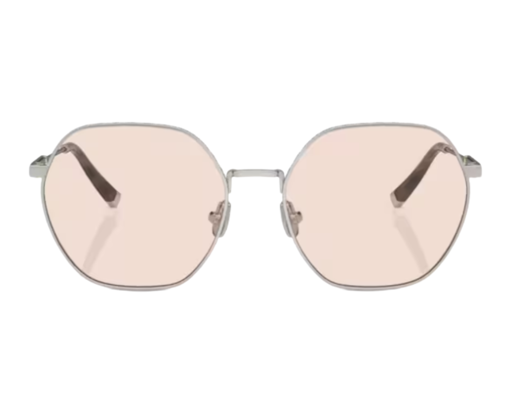 Brunello Cucinelli BC1001T Sunglasses