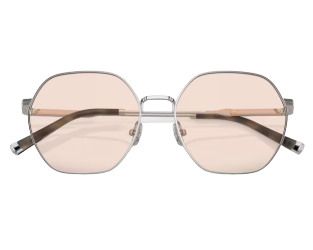 Brunello Cucinelli BC1001T Sunglasses
