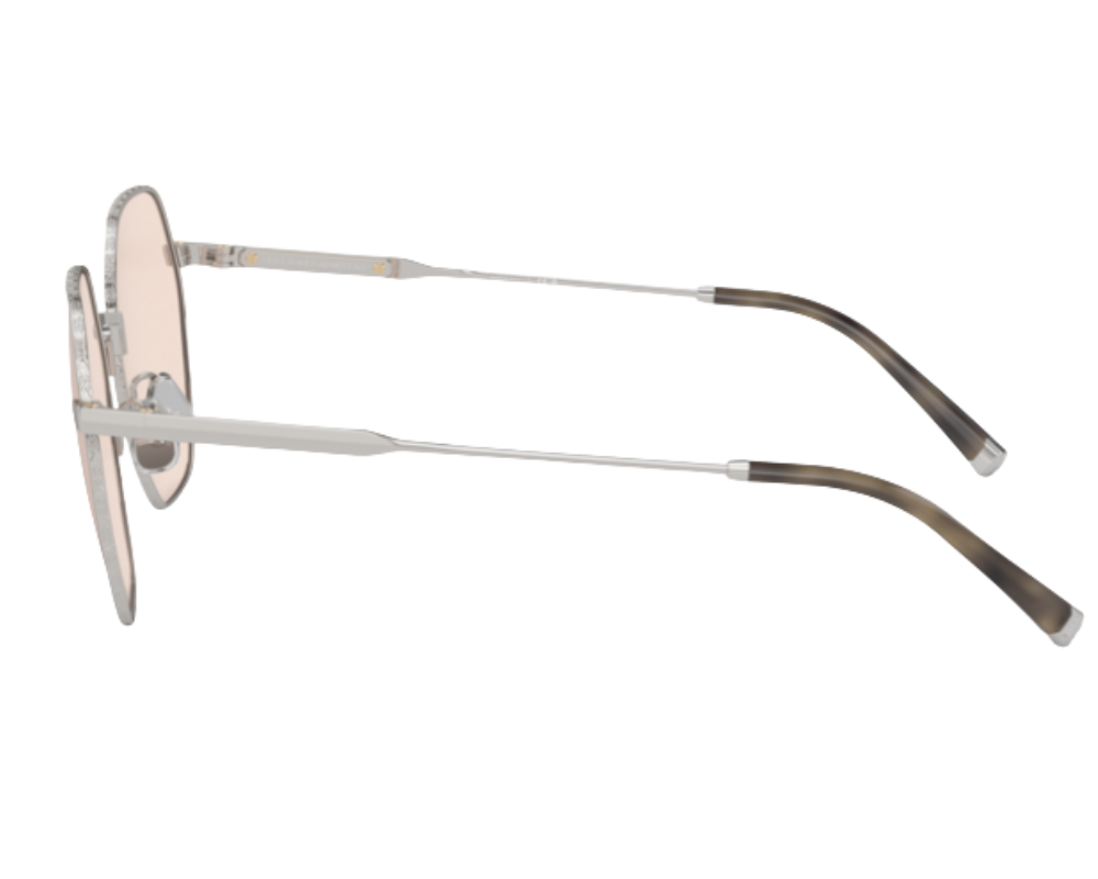 Brunello Cucinelli BC1001T Sunglasses