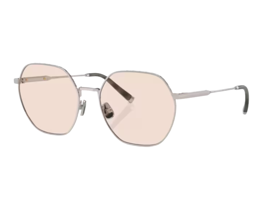 Brunello Cucinelli BC1001T Sunglasses