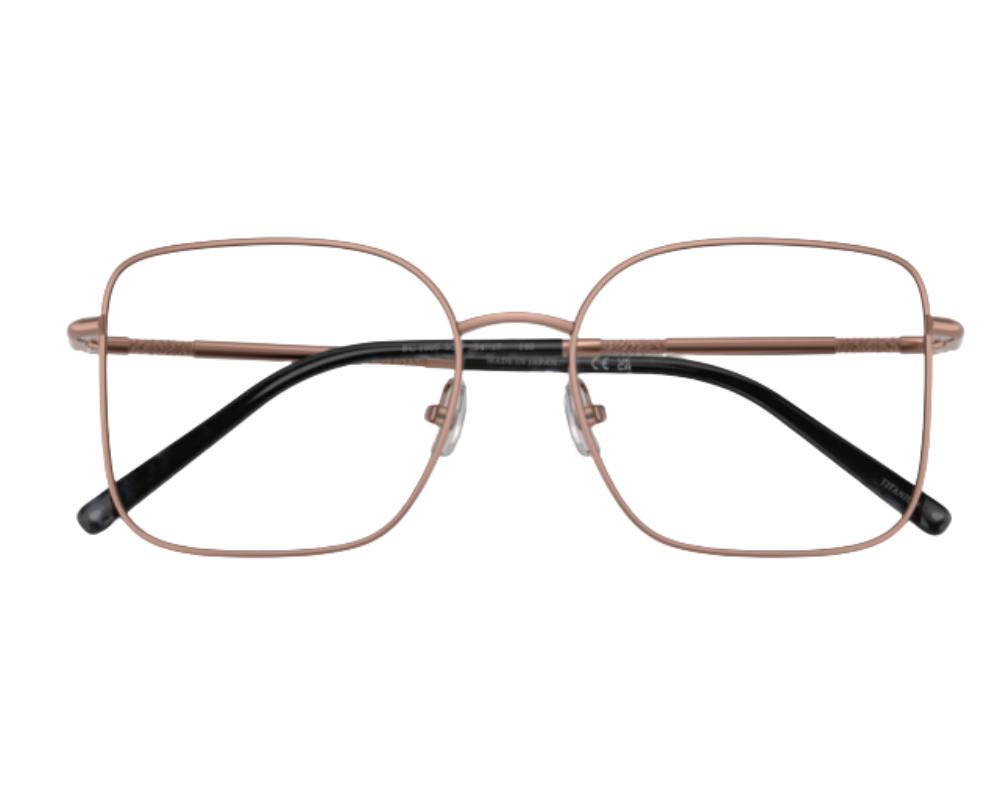 Bril op sterkte Brunello Cucinelli BC1005T