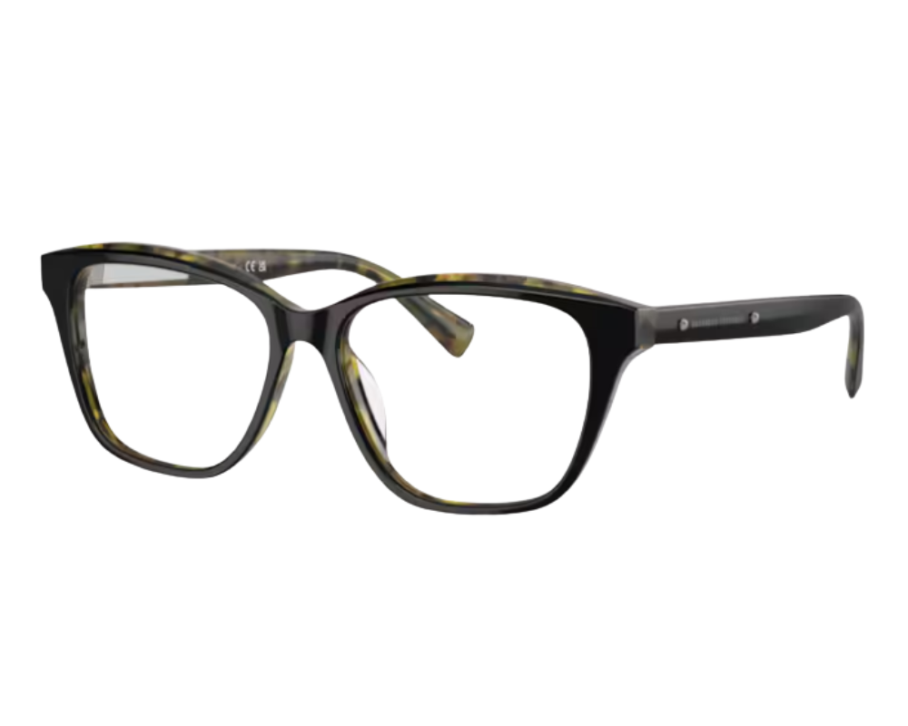 Brunello Cucinelli BC3004 Prescription Glasses
