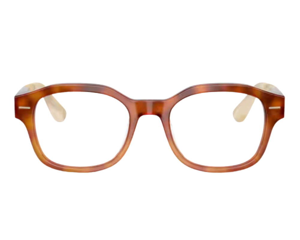 Brunello Cucinelli BC3010 Optical Glasses