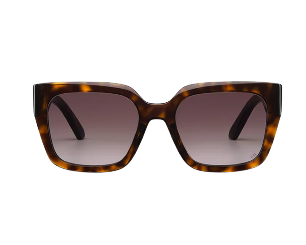 DIOR 30Montaigne S8U Sunglasses