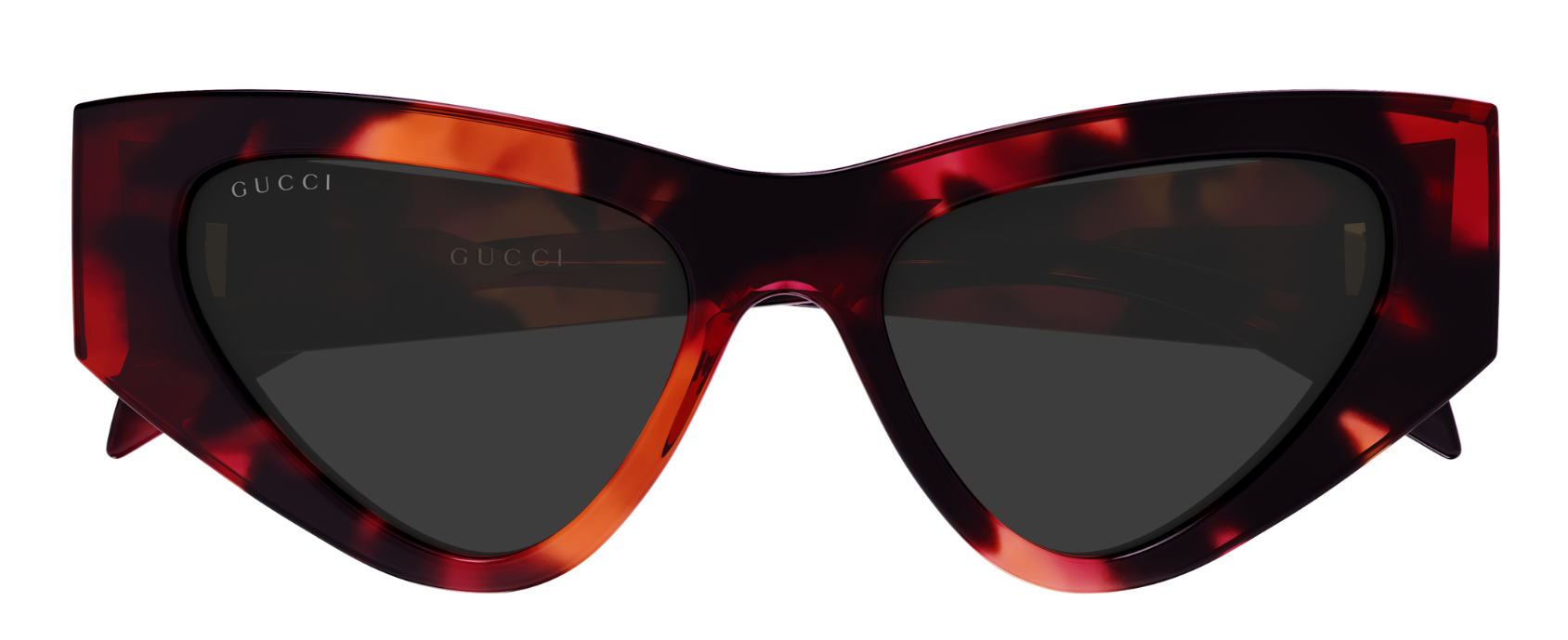 Gucci Logo GG2019S Sunglasses