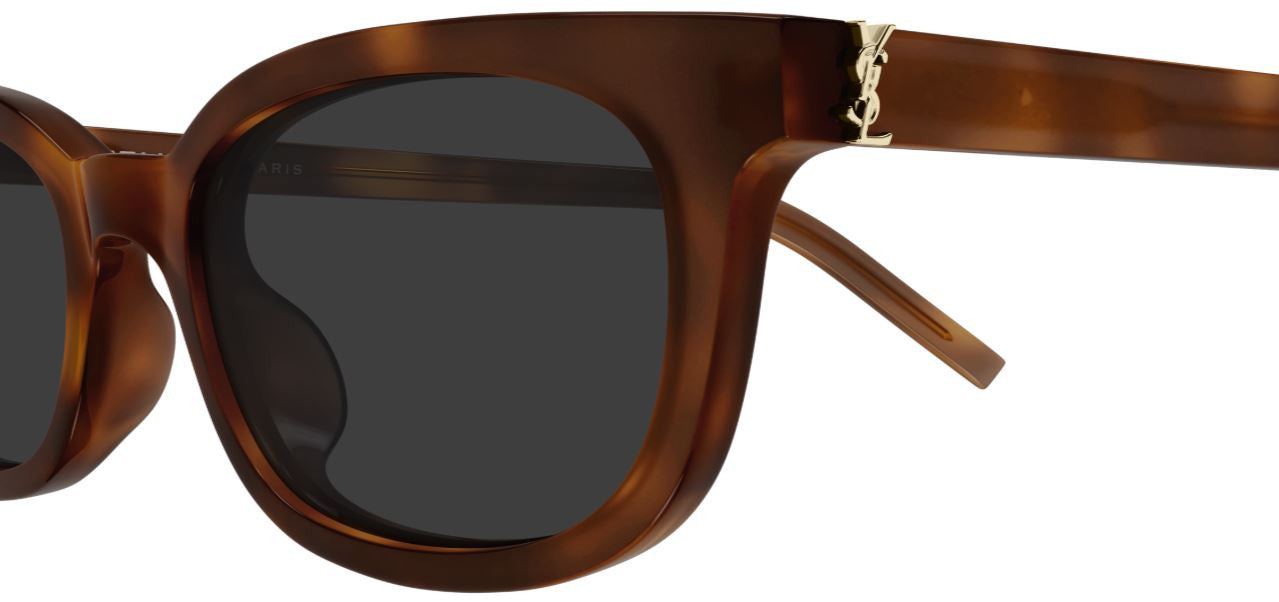 Saint Laurent Monogram SL M160/F Sunglasses
