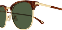 Chloé CH0384S Sunglasses