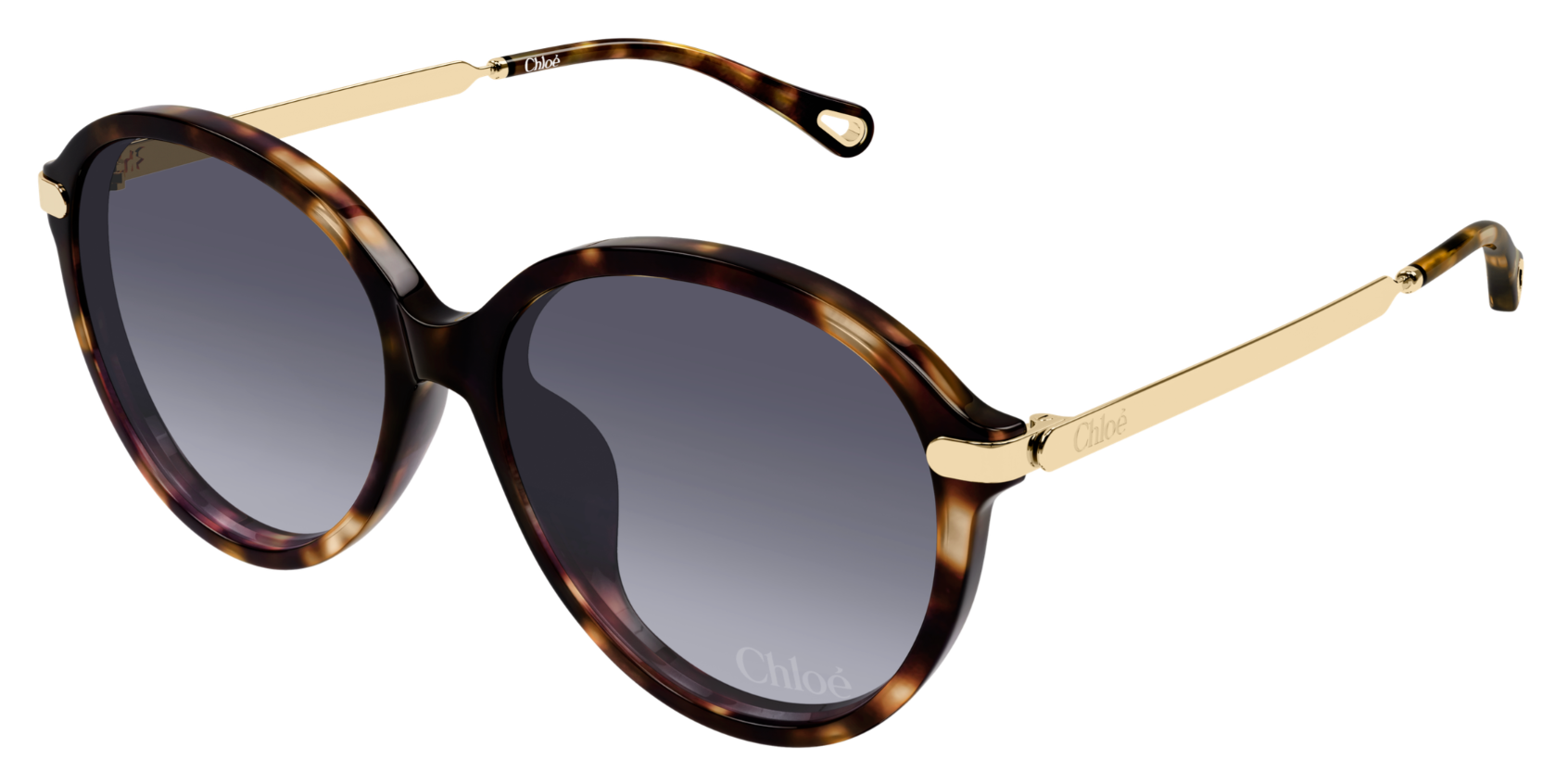 Chloé CH0358SK Sunglasses