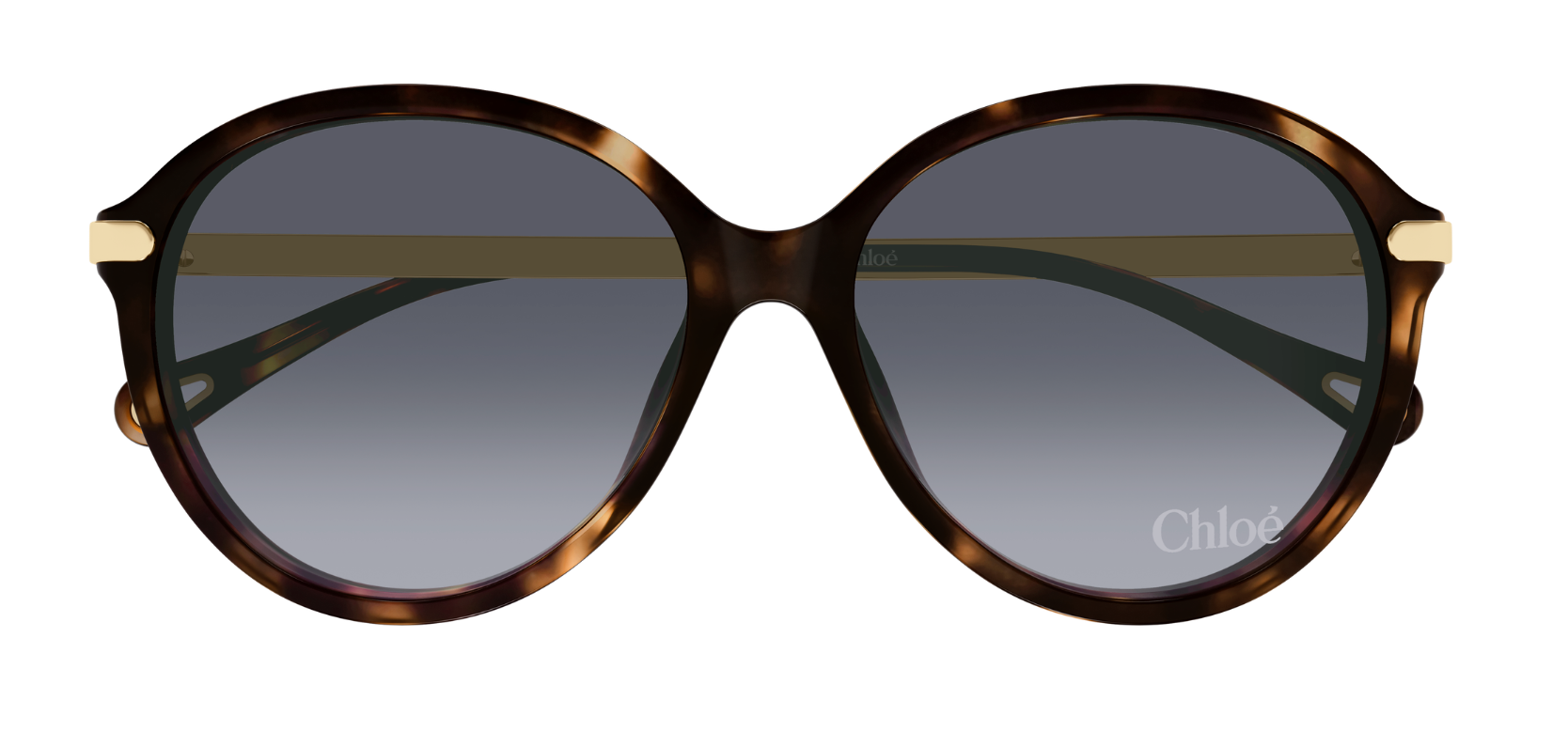 Chloé CH0358SK Sunglasses